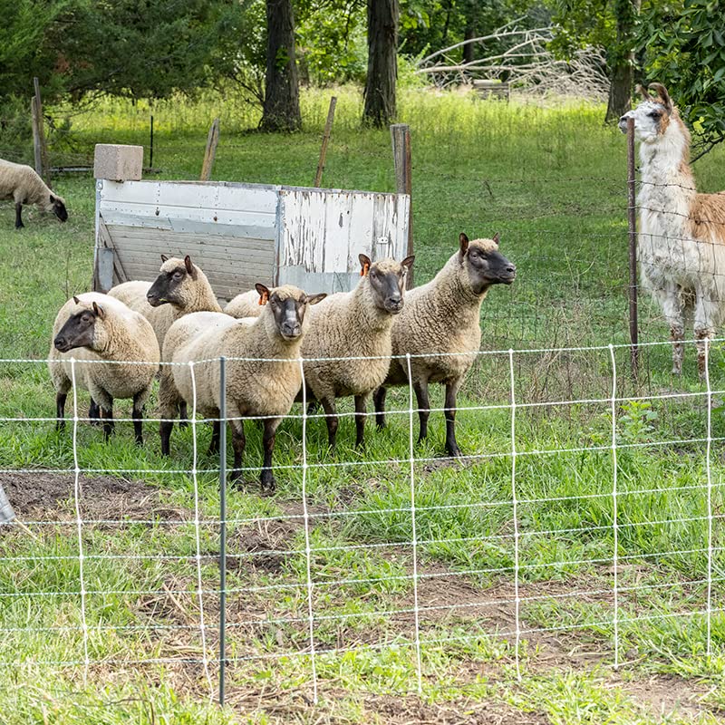 Premier 1 ElectroNet® PrimaPosts™ Fence – Sheep & Goats – 35"H x 164'L | Blue/white. Rigid PrimaPosts™ for extra strength. For sheep & goats. Keeps out coyotes & dogs. Energizer sold separately.