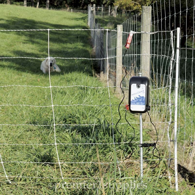 Premier 1 IntelliShock 10 Fence Energizer, Battery Kit, 1.0 Joule | Kit includes 12V leads & ground rod. Auto-adjusts draw 67% on clean fences. Powers 10 sheep/goat net rolls.