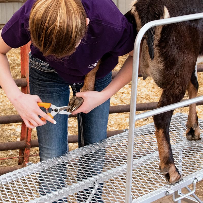 Premier 1 ExoTrim™ Serrated Hoof Trimmer (Pack of 2) - size: 7.5 inches (Length) (Pack of 2)
