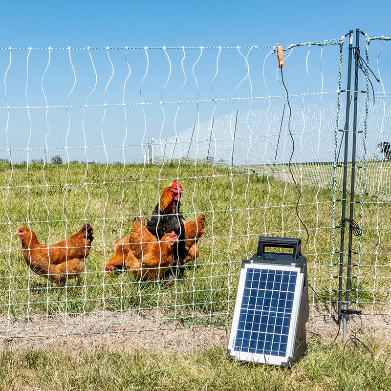 Premier 1 SolarStop™ 80 Fence Energizer – 0.8J, 10W Solar Panel | Solar powered, 0.8J output, 10W panel. Portable all-in-one. For sheep, goats, poultry, swine, cattle & horses.