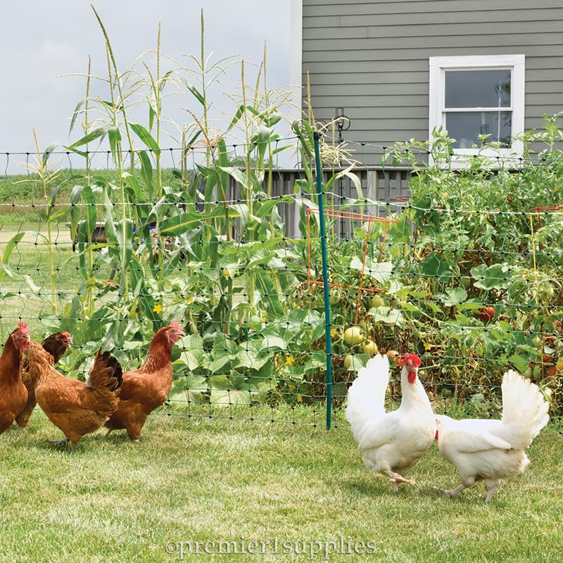 Premier 1 PoultryNet® Plus, Starter Kit for Chickens – 42"H x 100'L | Green/black. Includes solar energizer, support posts & tester. Double spike, posts every 6.8 ft to reduce sag. For poultry.