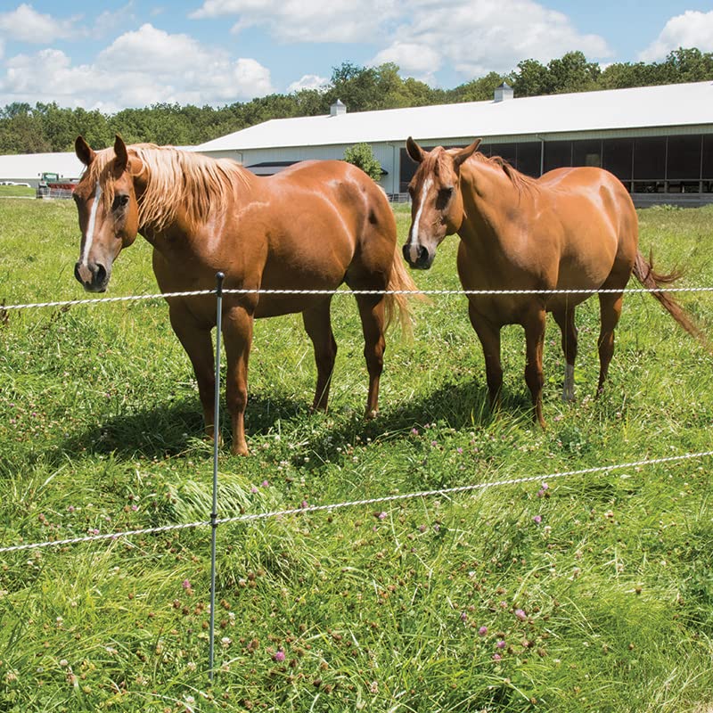 Premier 1 Step-in FiberRod Electric Fence Posts - 5 Pack (36" Tall) | Lightweight & stiff fiberglass. Ideal for rotational grazing. Use with SnapOn Harp Clips to hold conductors. 36" tall. - style: 36" Tall