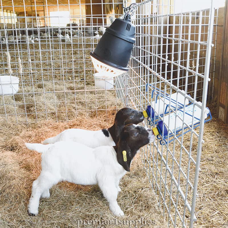 Premier 1 Bottle Rack for Lamb 'N' Goat Kid Bottles | Enables orphan lambs & goat kids to self-feed. Holds Lamb 'N' Kid Bottles upright for hands-free feeding.