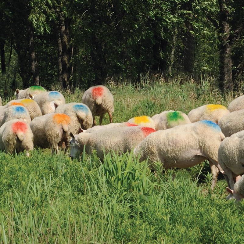 Premier 1 EZ-Mark Harness Crayon for Sheep & Goat Marking – Orange | Orange crayon. Identifies if ewe or doe has been bred. Use at 40–80°F. Compatible with Premier marking harnesses. - style: Orange Crayon