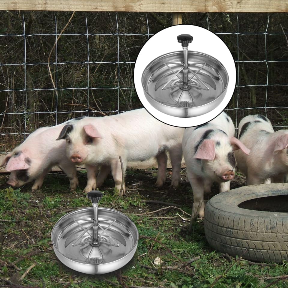 Stainless Steel Feeding Bowl Trough for Livestock and Pigs 9.84X9.84X3.54 Inch Multi-Compartment Rust Proof Farm Feeder Easy to Clean