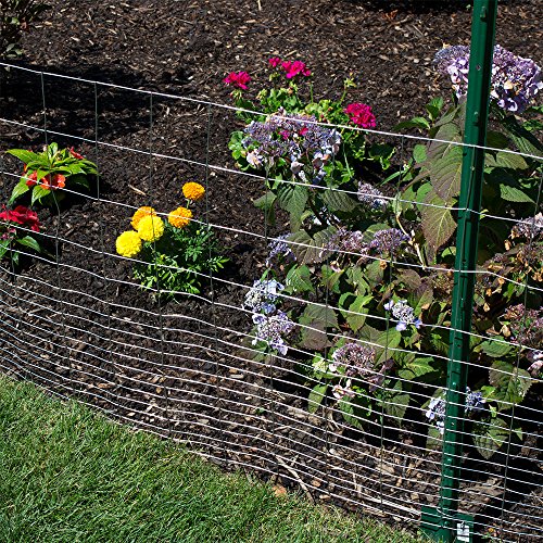 YARDGARD 2 in. x 4 in. Mesh Welded Wire Fence Roll, 60 in. x 50 ft., 14-Gauge Galvanized Steel Fence for Animal Enclosures, Garden Protection and Property Fencing, Rabbit Control an Utility Fence - size: Under 3' H