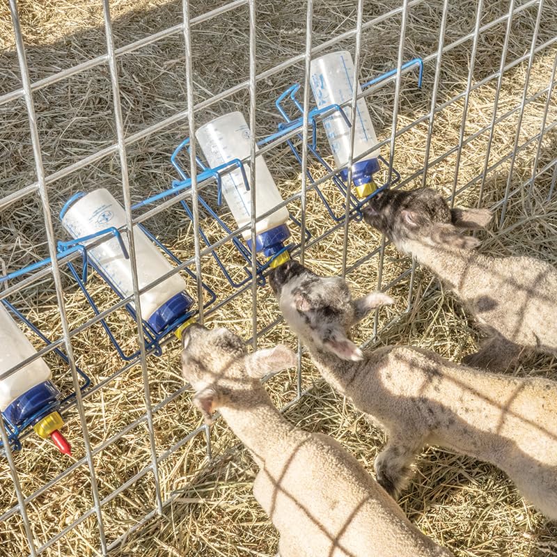 Premier 1 Lamb 'N' Goat Kid Wide-Mouth Bottle Kit – Pritchard Teat & Rack | Includes Pritchard teat & bottle rack. Wide mouth for easy cleaning & filling. For orphan lambs & goat kids. - style: Bottle, Pritchard Teat & Bottle Rack