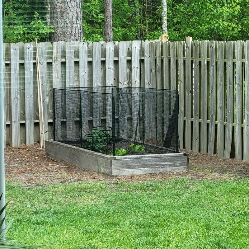4 Feet Metal Fence Post Black, Pack of 10, for 36 Inch High Garden Welded Wire Fence U-Channel Steel Garden Post - color: Black, size: 4',10 PCS